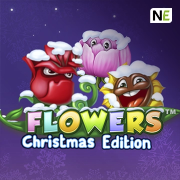 Flowers Christmas Edition - SKYBET138