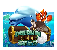 Joker123 : Dolphin Reef - SKYBET138