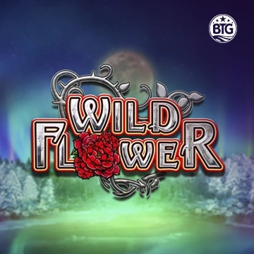 Bigtime : Wild Flower - SKYBET138