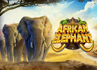 Pragmatic : African Elephant - SKYBET138